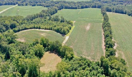 Photo #11 of SOLD property in Off Hwy 903, Scotland Neck, NC 26.7 acres
