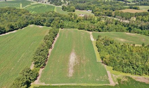 Photo #12 of SOLD property in Off Hwy 903, Scotland Neck, NC 26.7 acres
