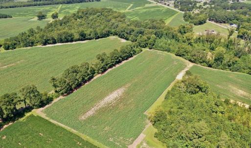 Photo #13 of SOLD property in Off Hwy 903, Scotland Neck, NC 26.7 acres