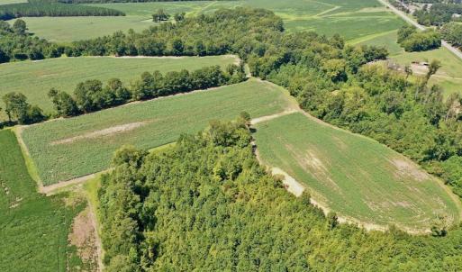 Photo #14 of SOLD property in Off Hwy 903, Scotland Neck, NC 26.7 acres