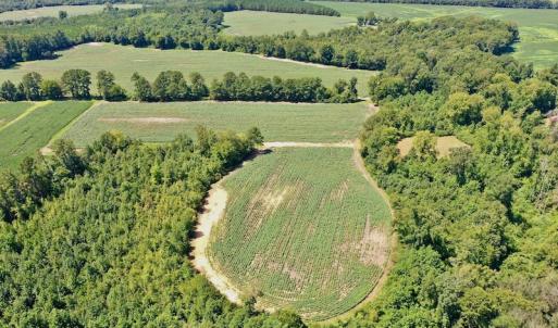 Photo #15 of SOLD property in Off Hwy 903, Scotland Neck, NC 26.7 acres