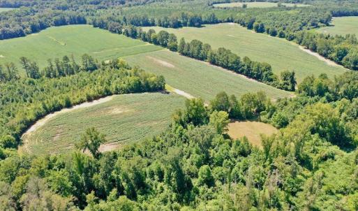 Photo #17 of SOLD property in Off Hwy 903, Scotland Neck, NC 26.7 acres