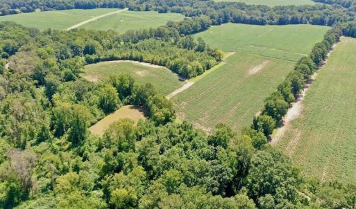 Photo #19 of SOLD property in Off Hwy 903, Scotland Neck, NC 26.7 acres
