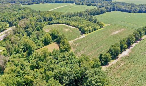 Photo #20 of SOLD property in Off Hwy 903, Scotland Neck, NC 26.7 acres
