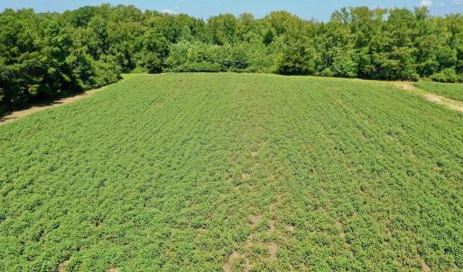 Photo #27 of SOLD property in Off Hwy 903, Scotland Neck, NC 26.7 acres