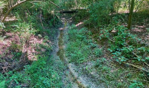 Photo #34 of SOLD property in Off Hwy 903, Scotland Neck, NC 26.7 acres