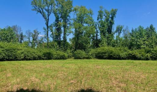 Photo #38 of SOLD property in Off Hwy 903, Scotland Neck, NC 26.7 acres