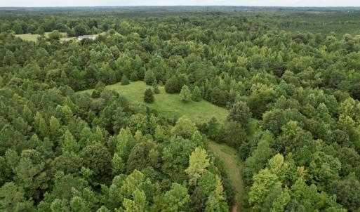 Photo #23 of SOLD property in 2000 Watts Trail, Virgilina, VA 107.9 acres