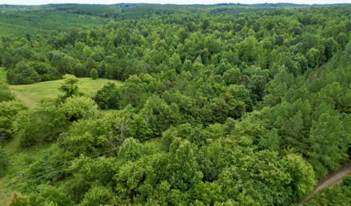 Photo #30 of SOLD property in 2000 Watts Trail, Virgilina, VA 107.9 acres