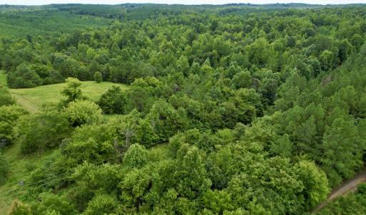 Photo #30 of SOLD property in 2000 Watts Trail, Virgilina, VA 107.9 acres