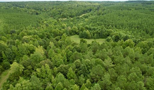 Photo #31 of SOLD property in 2000 Watts Trail, Virgilina, VA 107.9 acres