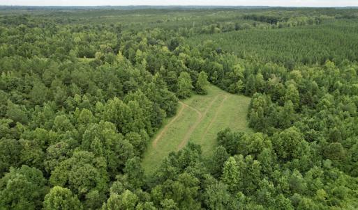 Photo #32 of SOLD property in 2000 Watts Trail, Virgilina, VA 107.9 acres