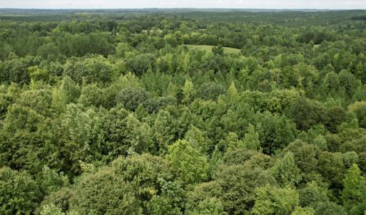 Photo #35 of SOLD property in 2000 Watts Trail, Virgilina, VA 107.9 acres