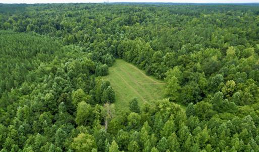 Photo #36 of SOLD property in 2000 Watts Trail, Virgilina, VA 107.9 acres
