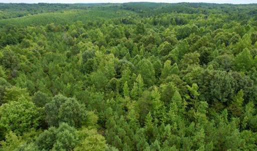 Photo #37 of SOLD property in 2000 Watts Trail, Virgilina, VA 107.9 acres
