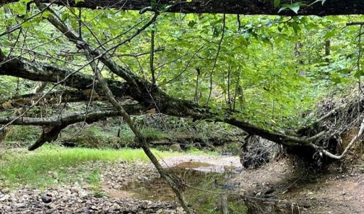 Photo #39 of SOLD property in 2000 Watts Trail, Virgilina, VA 107.9 acres