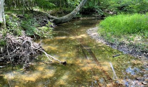Photo #40 of SOLD property in 2000 Watts Trail, Virgilina, VA 107.9 acres