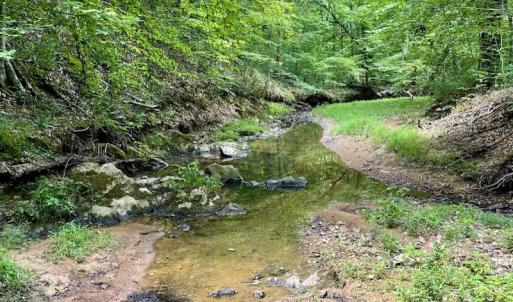 Photo #41 of SOLD property in 2000 Watts Trail, Virgilina, VA 107.9 acres