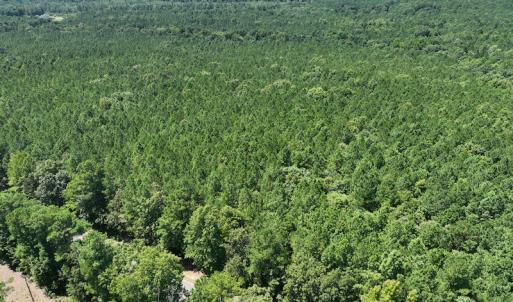 Photo #7 of SOLD property in Off Old Gaston Road, Gaston, NC 10.0 acres