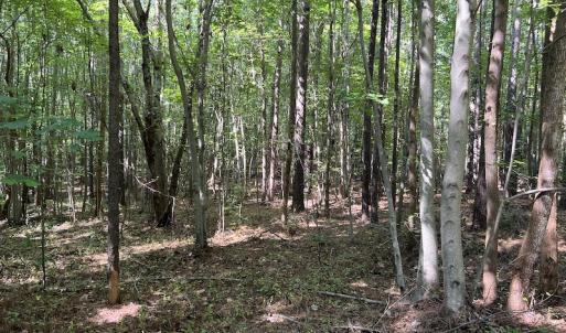 Photo #11 of SOLD property in Off Old Gaston Road, Gaston, NC 10.0 acres