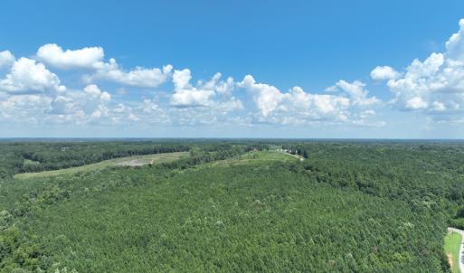 Photo #3 of SOLD property in Off Old Gaston Road, Gaston, NC 10.0 acres