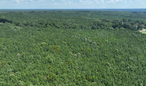 Photo #4 of SOLD property in Off Old Gaston Road, Gaston, NC 10.0 acres
