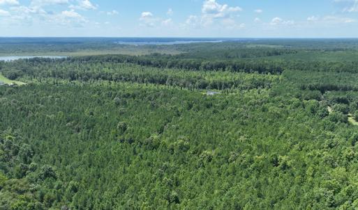 Photo #5 of SOLD property in Off Old Gaston Road, Gaston, NC 10.0 acres
