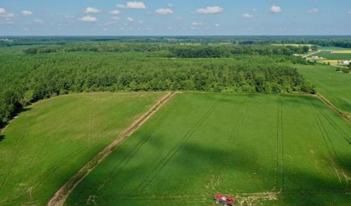 Photo #3 of SOLD property in Off Vandiford Thomas Road, Snow Hill, NC 60.8 acres