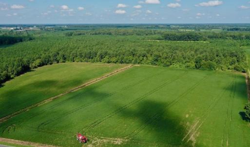 Photo #4 of SOLD property in Off Vandiford Thomas Road, Snow Hill, NC 60.8 acres