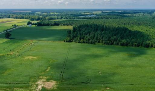 Photo #5 of SOLD property in Off Vandiford Thomas Road, Snow Hill, NC 60.8 acres