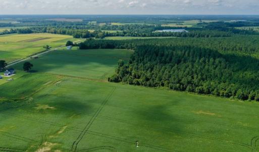 Photo #6 of SOLD property in Off Vandiford Thomas Road, Snow Hill, NC 60.8 acres