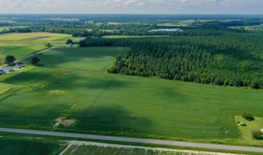 Photo #7 of SOLD property in Off Vandiford Thomas Road, Snow Hill, NC 60.8 acres