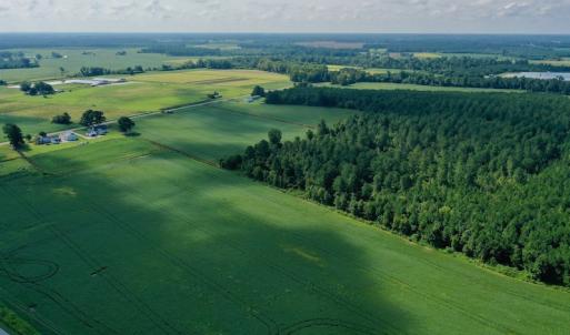 Photo #8 of SOLD property in Off Vandiford Thomas Road, Snow Hill, NC 60.8 acres