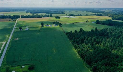Photo #9 of SOLD property in Off Vandiford Thomas Road, Snow Hill, NC 60.8 acres