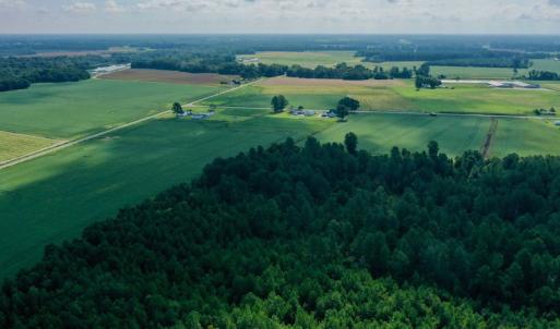Photo #10 of SOLD property in Off Vandiford Thomas Road, Snow Hill, NC 60.8 acres