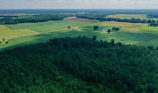 Photo #11 of SOLD property in Off Vandiford Thomas Road, Snow Hill, NC 60.8 acres