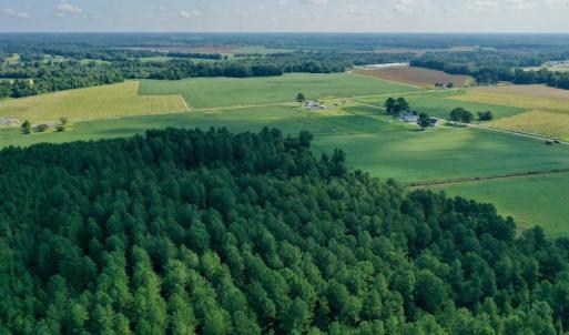Photo #12 of SOLD property in Off Vandiford Thomas Road, Snow Hill, NC 60.8 acres