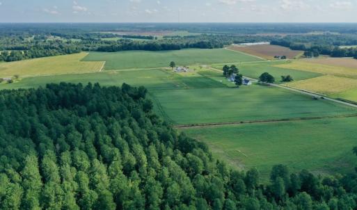 Photo #13 of SOLD property in Off Vandiford Thomas Road, Snow Hill, NC 60.8 acres