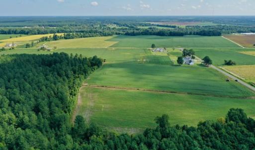 Photo #14 of SOLD property in Off Vandiford Thomas Road, Snow Hill, NC 60.8 acres