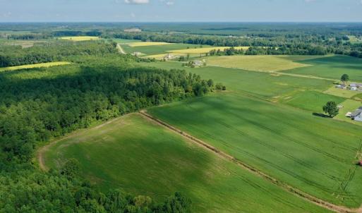Photo #15 of SOLD property in Off Vandiford Thomas Road, Snow Hill, NC 60.8 acres