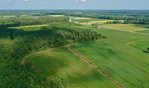 Photo #16 of SOLD property in Off Vandiford Thomas Road, Snow Hill, NC 60.8 acres
