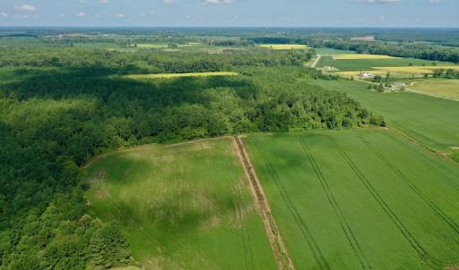 Photo #17 of SOLD property in Off Vandiford Thomas Road, Snow Hill, NC 60.8 acres