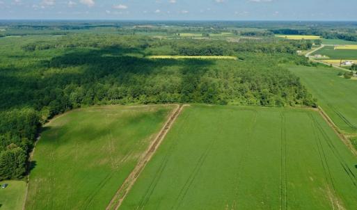 Photo #18 of SOLD property in Off Vandiford Thomas Road, Snow Hill, NC 60.8 acres