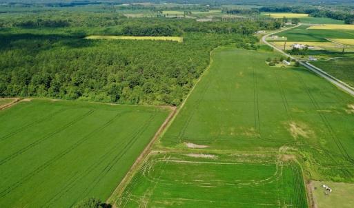 Photo #19 of SOLD property in Off Vandiford Thomas Road, Snow Hill, NC 60.8 acres