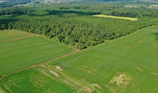 Photo #20 of SOLD property in Off Vandiford Thomas Road, Snow Hill, NC 60.8 acres
