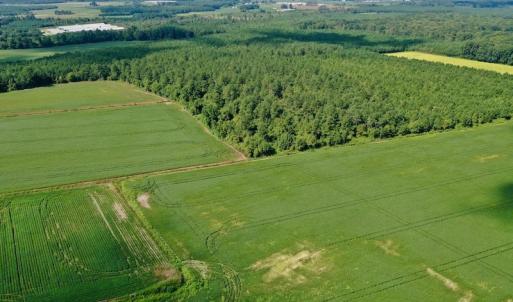 Photo #21 of SOLD property in Off Vandiford Thomas Road, Snow Hill, NC 60.8 acres