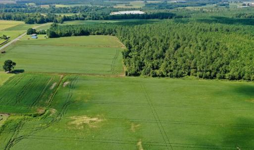 Photo #22 of SOLD property in Off Vandiford Thomas Road, Snow Hill, NC 60.8 acres
