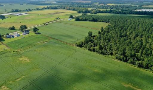 Photo #23 of SOLD property in Off Vandiford Thomas Road, Snow Hill, NC 60.8 acres