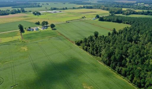 Photo #24 of SOLD property in Off Vandiford Thomas Road, Snow Hill, NC 60.8 acres