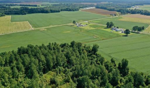 Photo #28 of SOLD property in Off Vandiford Thomas Road, Snow Hill, NC 60.8 acres